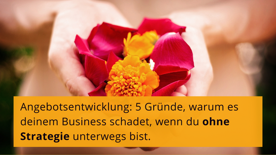 Read more about the article Angebotsentwicklung: 5 Gründe, warum es deinem Business schadet, wenn du ohne Strategie unterwegs bist.