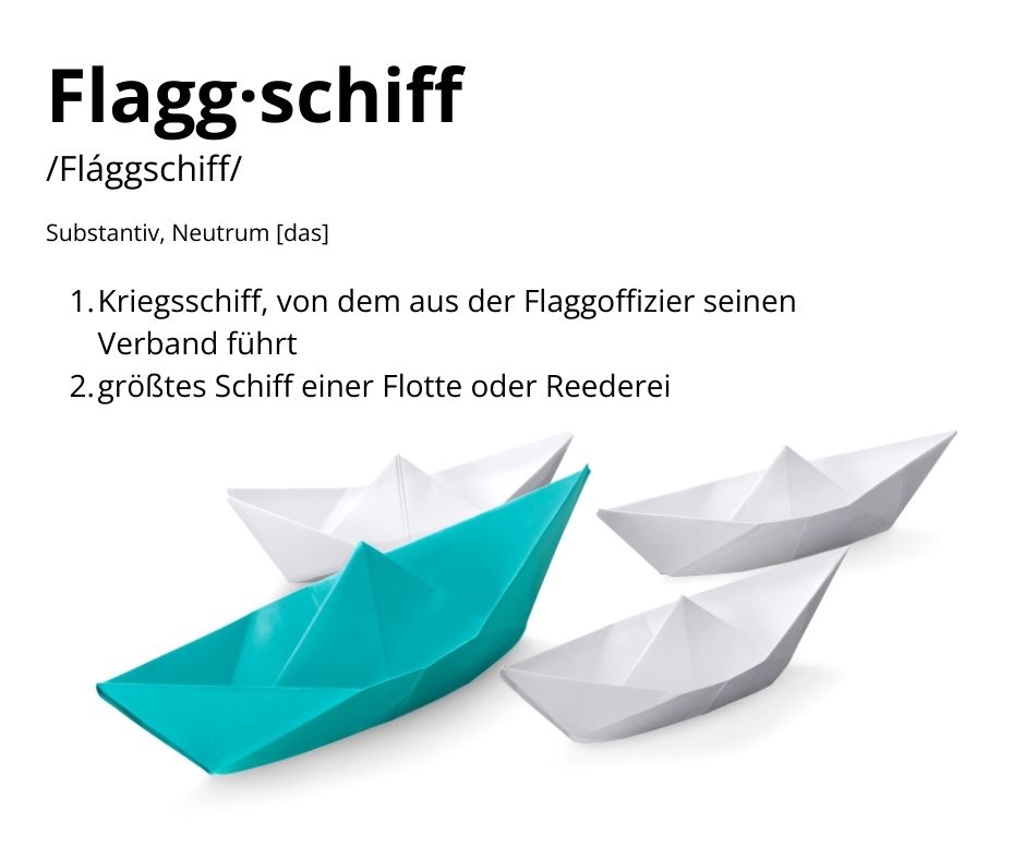 Flaggschiff Erklärung für Flagship-Programm-fuer-Coaches